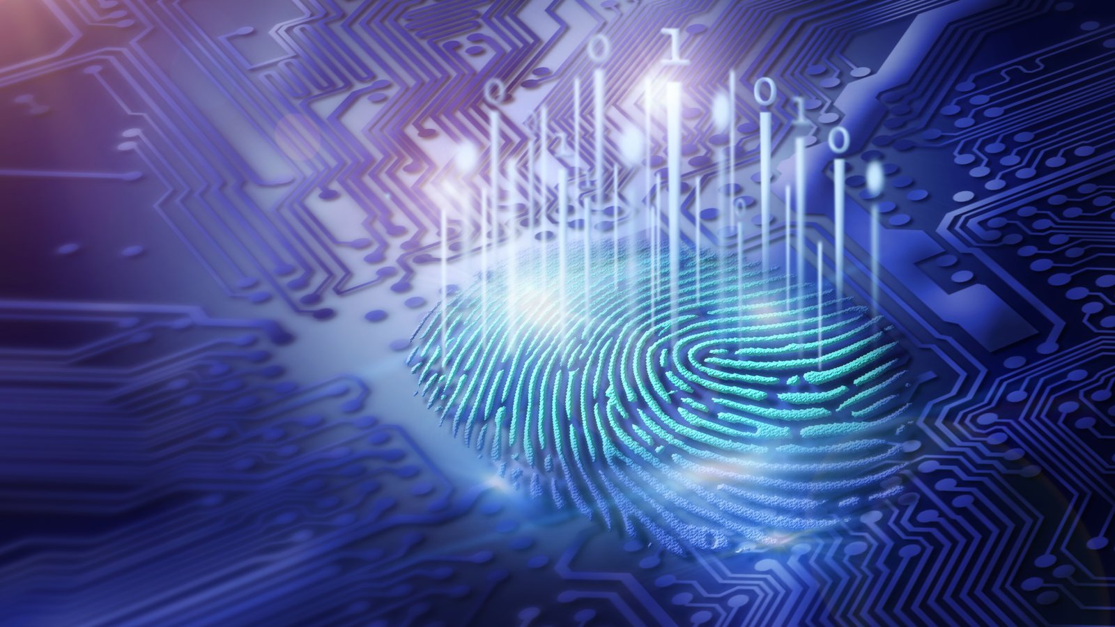 Biometric fingerprint on secure circuit board